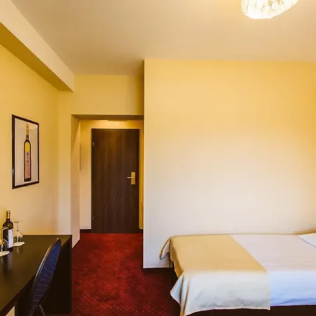 Casa Domeniile Vinului Guest house 3*